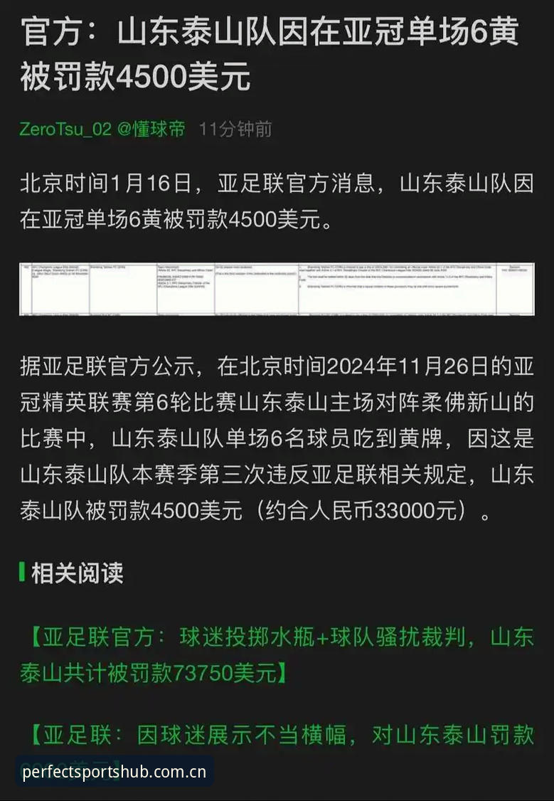足协第三批禁足名单的3大震撼看点：65人重罚背后的行业洗牌